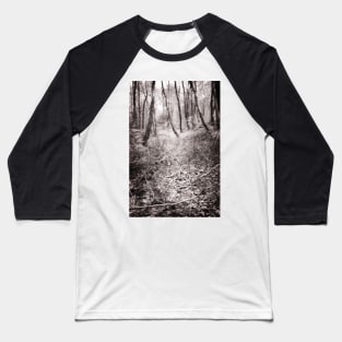 Off the path through the leaves Baseball T-Shirt